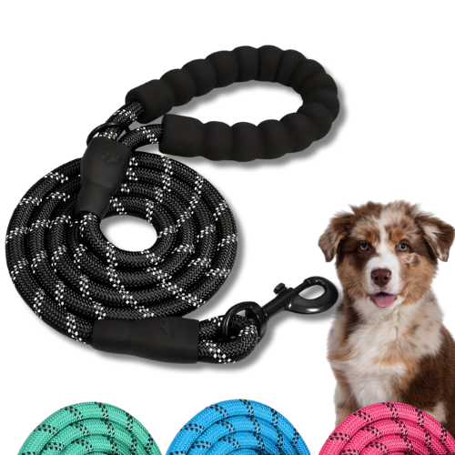 LaisseForce™ | Sécurité & Confort