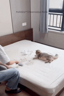 PoilZéro™  Brosse Magique