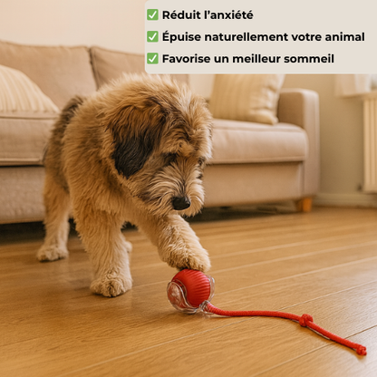 BalleFolie™ | Auto-roulante