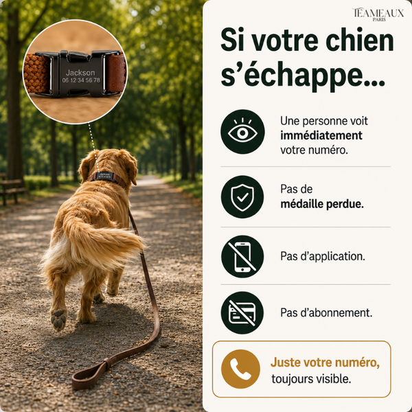 Collier Chien Gravé Sécurisé