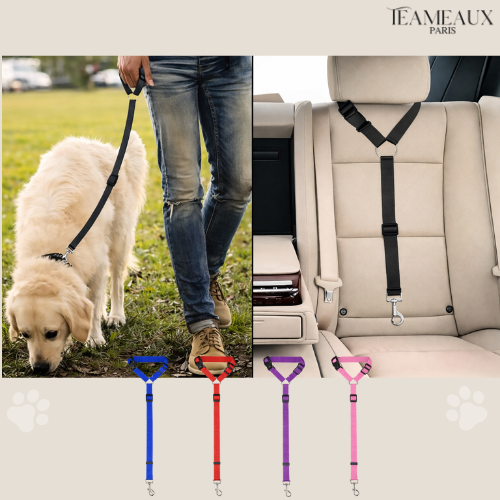 CeintureSécuriPet™ | Sûreté pour chiens