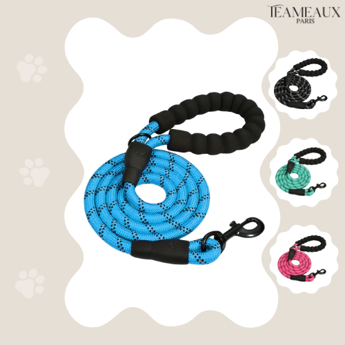 LaisseForce™ | Sécurité & Confort