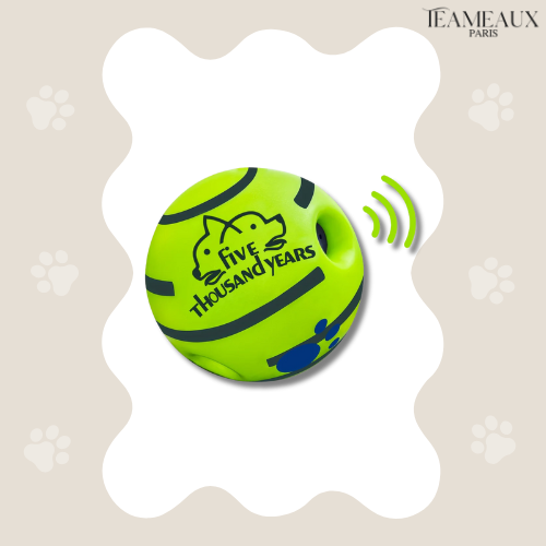 BalleSonique™ | Magique