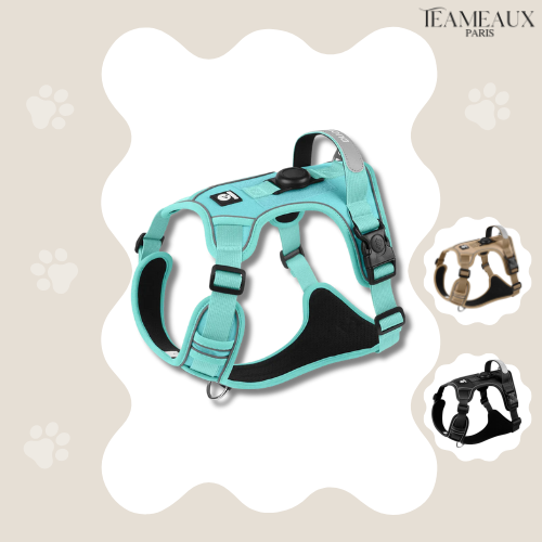 HarnaisSécuriTrack™ | Airtag +