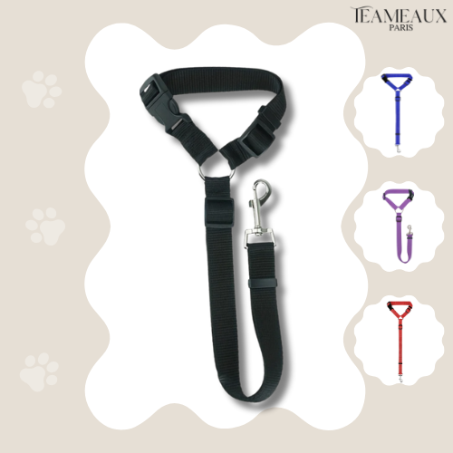CeintureSécuriPet™ | Sûreté pour Chiens