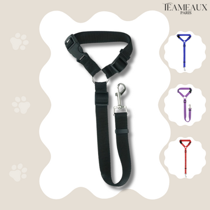 CeintureSécuriPet™ | Sûreté pour Chiens