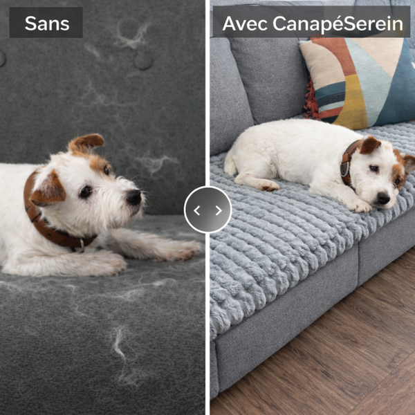 PawLounge Housse Canapé Douce