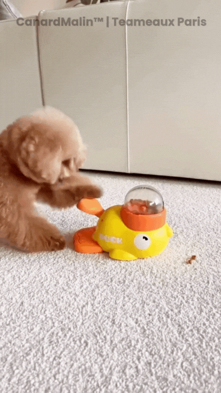 CanardMalin™  Malin Distributeur