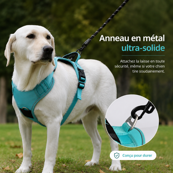 HarnaisSécuriTrack™  Airtag +