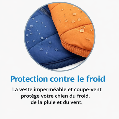 VentoDouce™ | Veste coupe-vent avec harnais