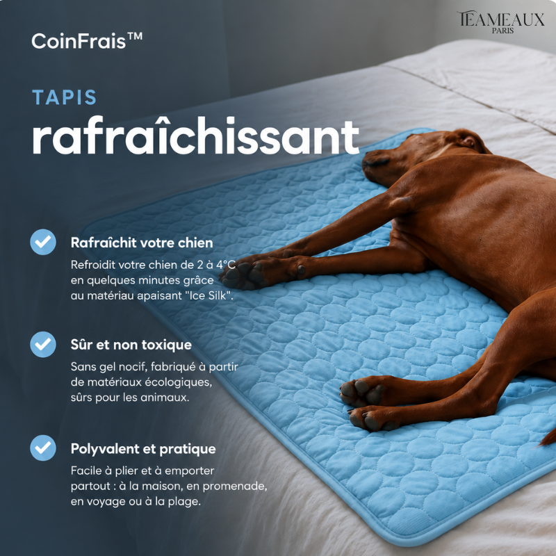 CoinFrais™ | Tapis rafraîchissant 1+1 GRATUIT