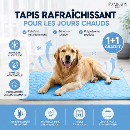 CoinFrais™ | Tapis rafraîchissant 1+1 GRATUIT