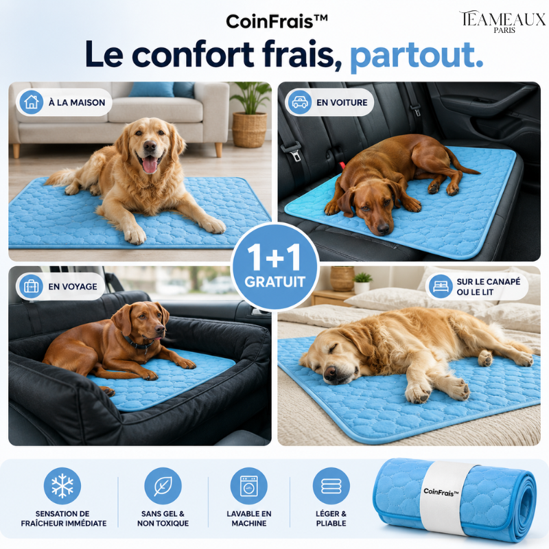 CoinFrais™ | Tapis rafraîchissant 1+1 GRATUIT