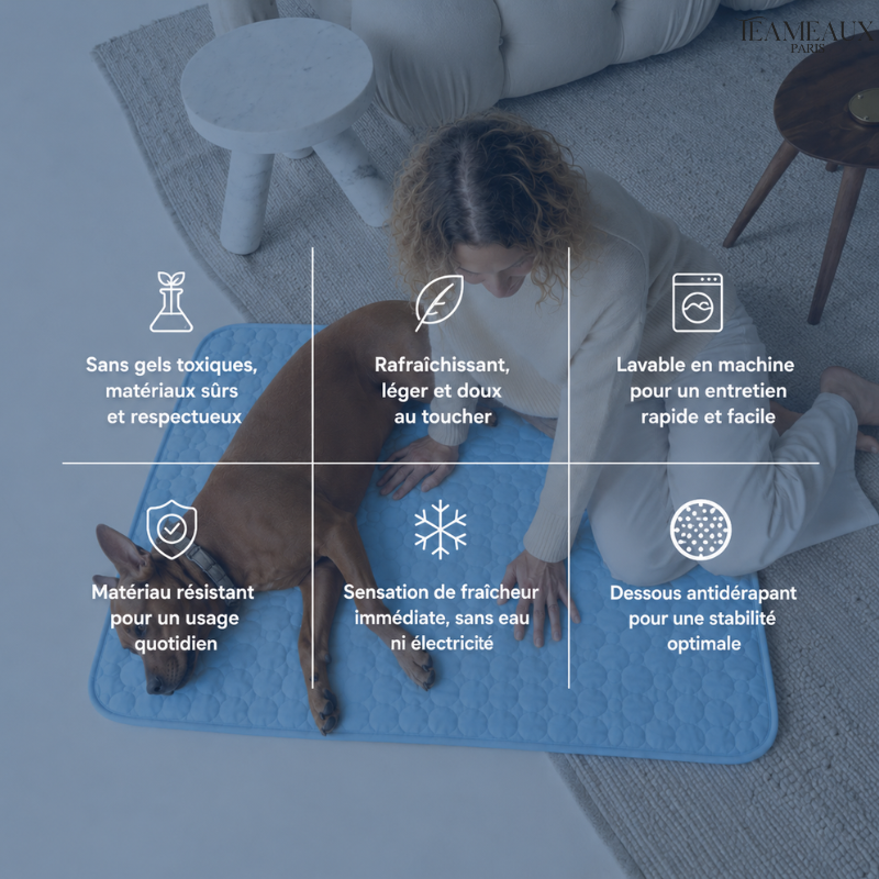 CoinFrais™ | Tapis rafraîchissant 1+1 GRATUIT
