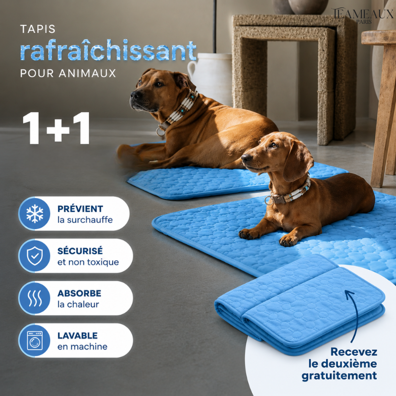 CoinFrais™ | Tapis rafraîchissant 1+1 GRATUIT