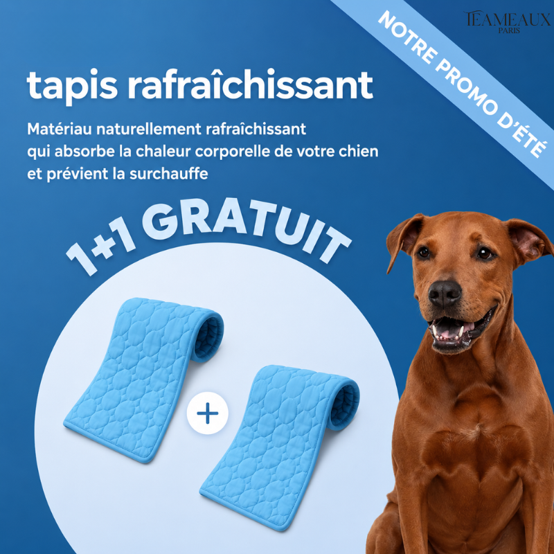 CoinFrais™ | Tapis rafraîchissant 1+1 GRATUIT