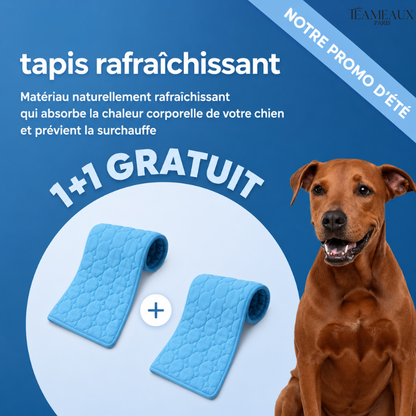 CoinFrais™ | Tapis rafraîchissant 1+1 GRATUIT