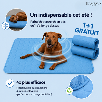 CoinFrais™ | Tapis rafraîchissant 1+1 GRATUIT