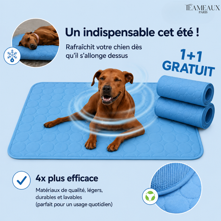 CoinFrais™ | Tapis rafraîchissant 1+1 GRATUIT