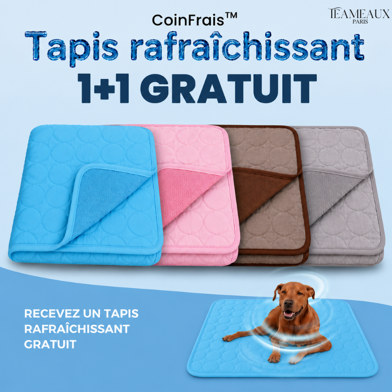 CoinFrais™ | Tapis rafraîchissant 1+1 GRATUIT