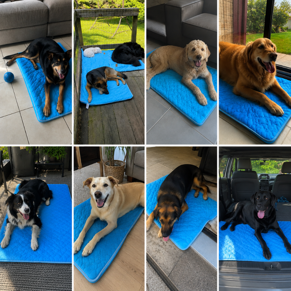 Tapis Fraîcheur Pelsbarn pour chiens