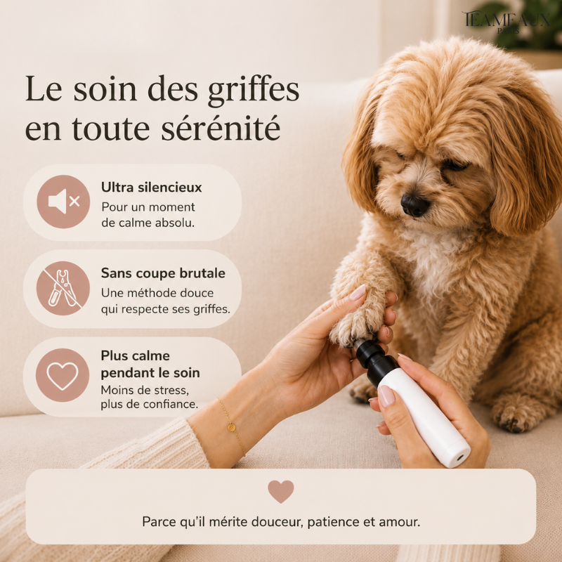 GriffCalme™