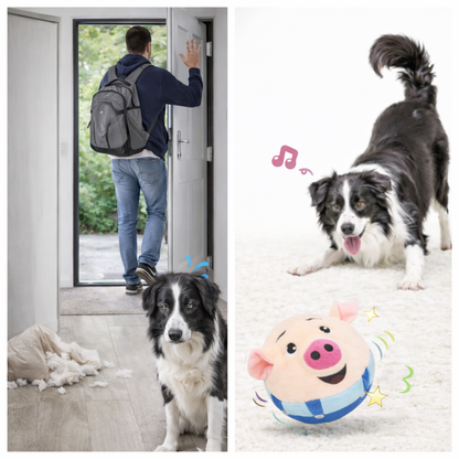 CochonFou™ | Jouet interactif pour chiens et chats