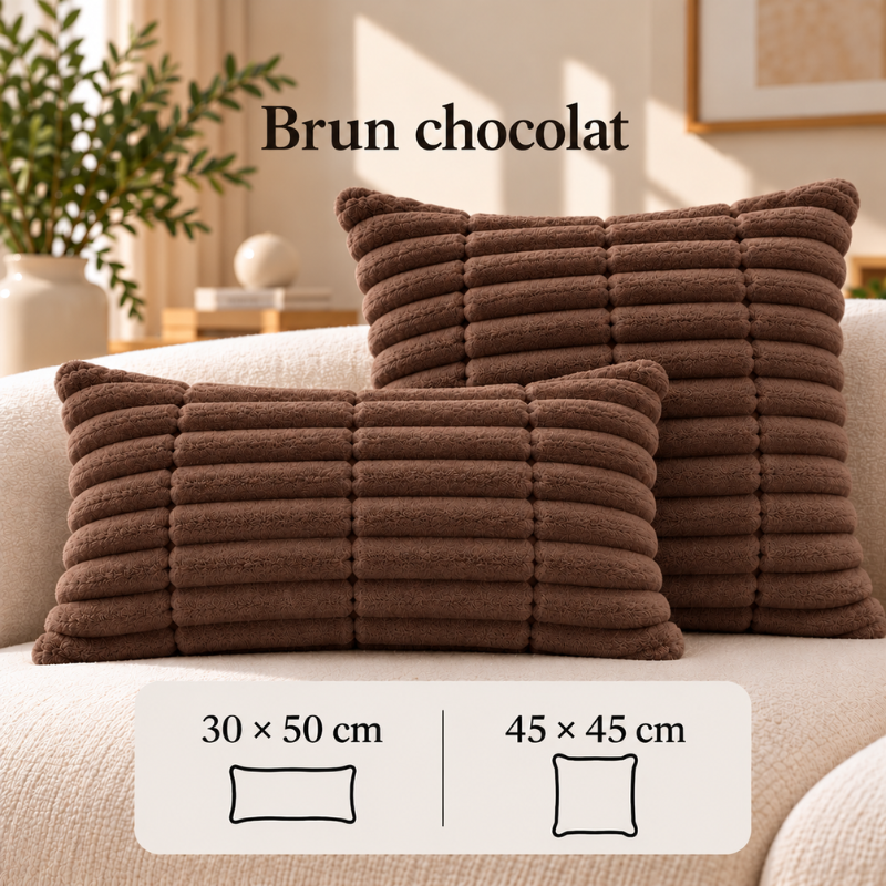 Lot de 2 housses de coussin assorties