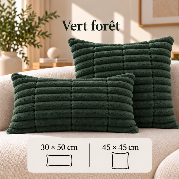Lot de 2 housses de coussin assorties