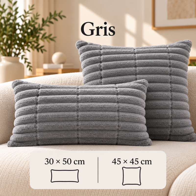 Lot de 2 housses de coussin assorties