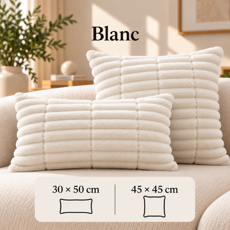 Lot de 2 housses de coussin assorties