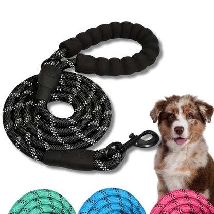 LaisseForce™ | Sécurité & Confort