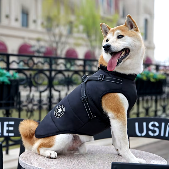 VentoDouce™ | Veste coupe-vent avec harnais