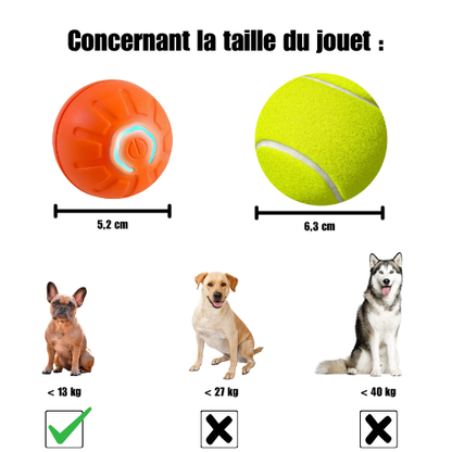 BalleMaline™ |  Balle ludique