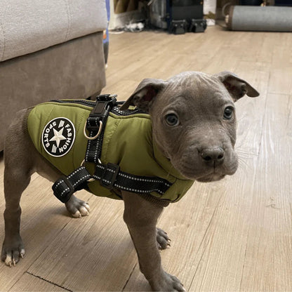 VentoDouce™ | Veste coupe-vent avec harnais