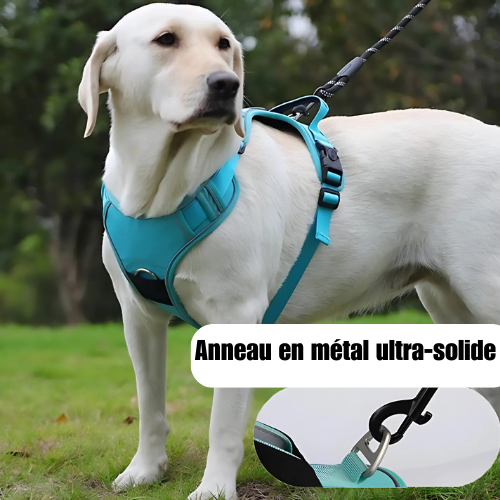 HarnaisSécuriTrack™  Airtag +