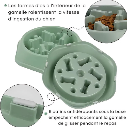 MangeZen™ Gamelle Antiglouton