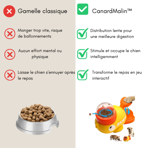 CanardMalin™ | Malin Distributeur