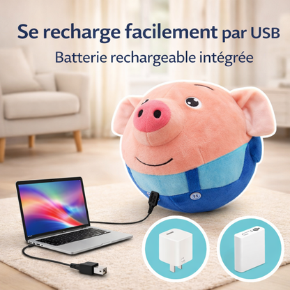 CochonFou™ | Jouet interactif pour chiens et chats