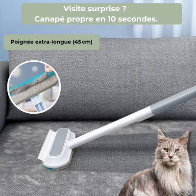 PoilZéro™ | Brosse magique