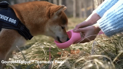 GourdeMagique™ | Aventure Magique