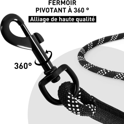 LaisseForce™ | Sécurité & Confort