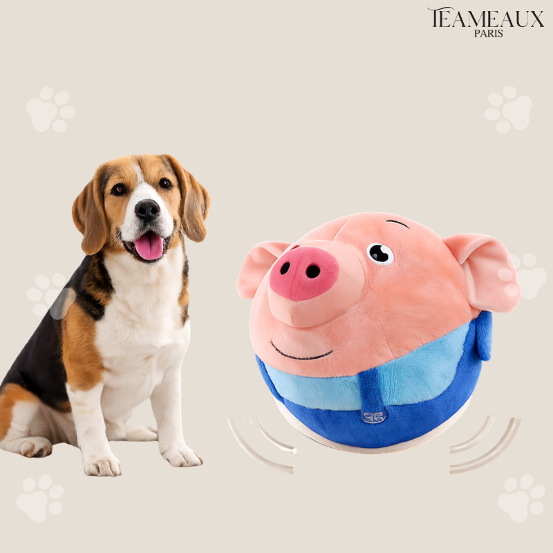 CochonFou™ | Jouet interactif pour chiens et chats
