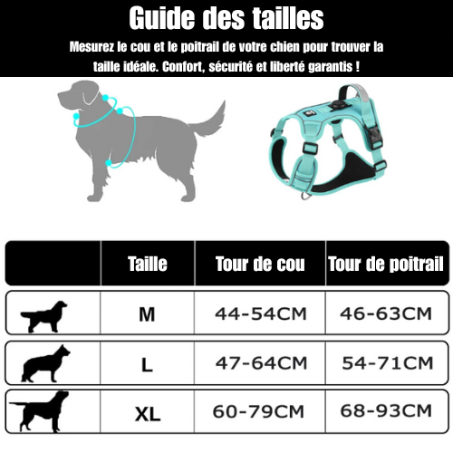 HarnaisSécuriTrack™ | Airtag +