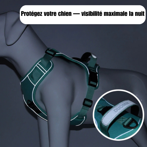 HarnaisSécuriTrack™ | Airtag +