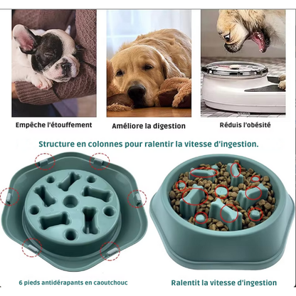 MangeZen™ | Gamelle Antiglouton