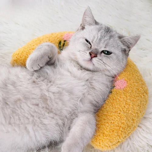 LuneDouce™ │Coussin relaxant