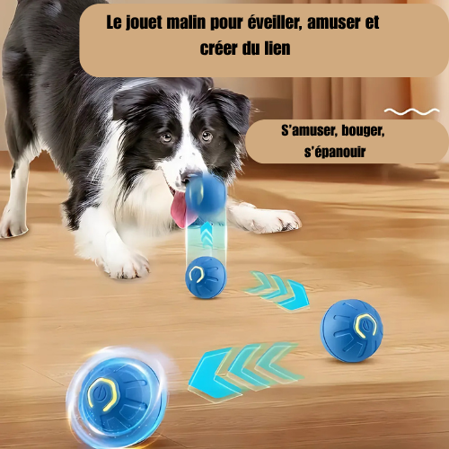 BalleMaline™ |  Balle ludique