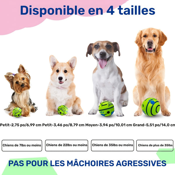 BalleSonique™  Magique