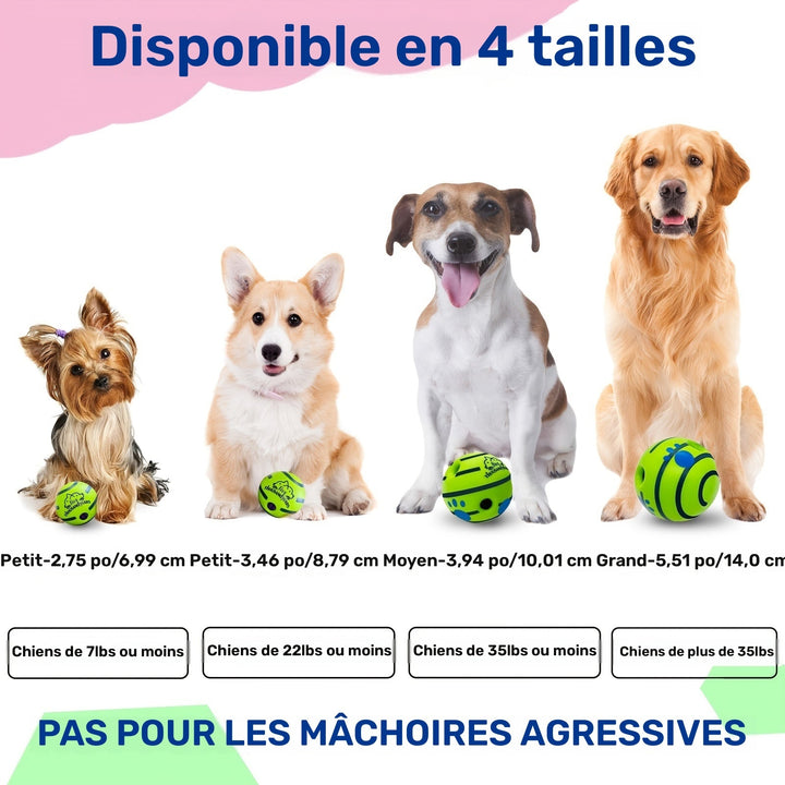 BalleSonique™ | Magique